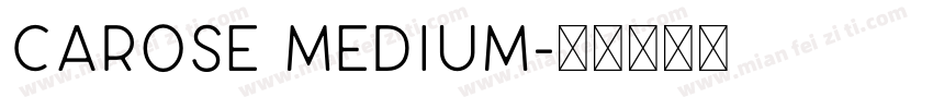 CAROSE Medium字体转换